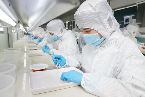 再登世界品质之巅,燕之屋荣获欧盟brc ifs双认证